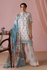 Printed Lawn DP-26-13