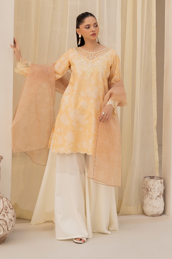 Embroidered Lawn - DT-25-02